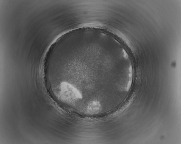 X0000116790923201001081310