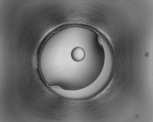 X0000116790925201001081310