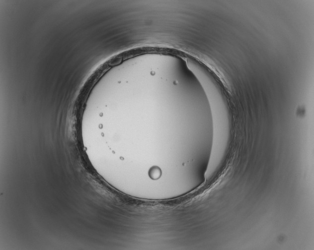 X0000116790926201001081310