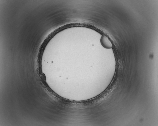 X0000116790927201001081310