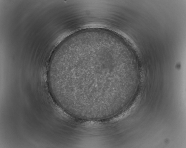 X0000116790929201001081310