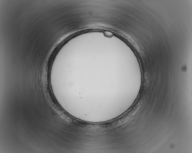 X0000116790931201001081310