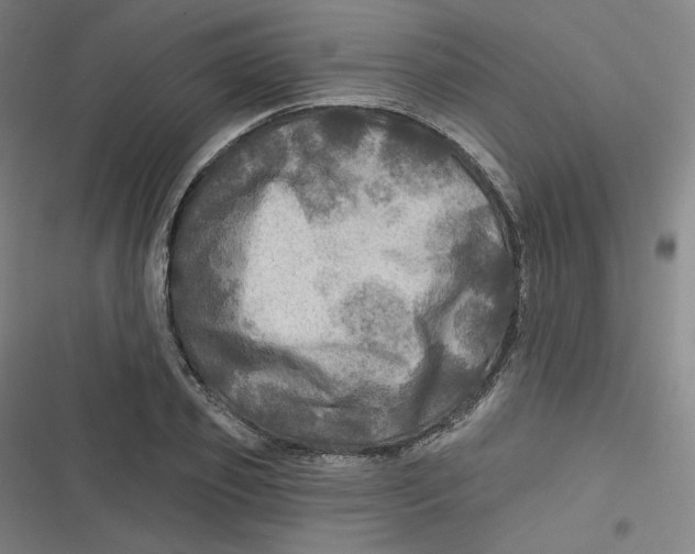 X0000116790933201001081310