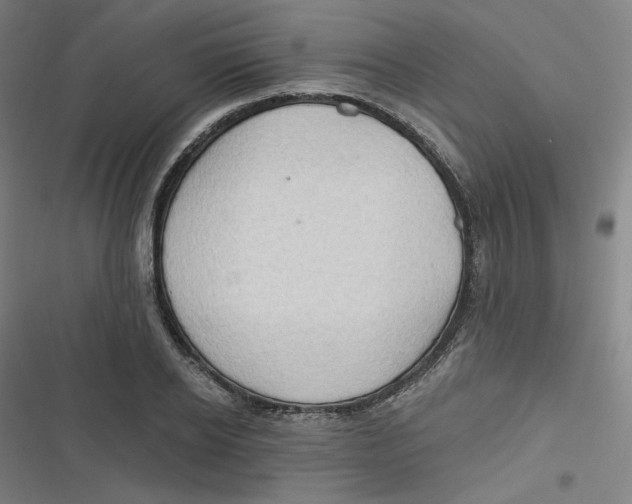 X0000116790934201001081310