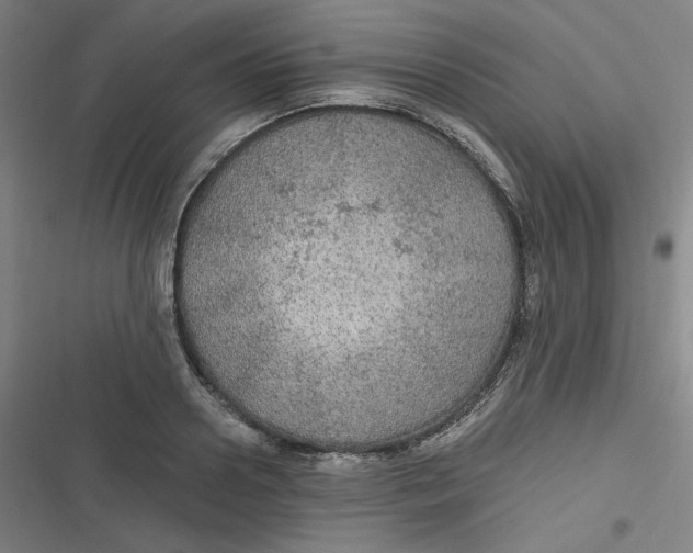 X0000116790938201001081310