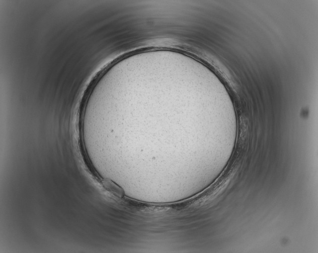 X0000116790939201001081310