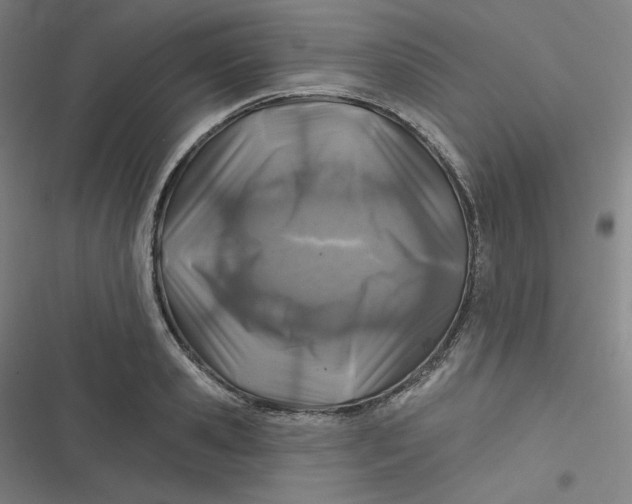 X0000116790941201001081310