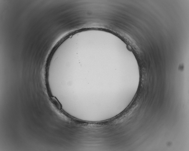 X0000116790942201001081310