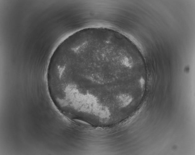 X0000116790943201001081310