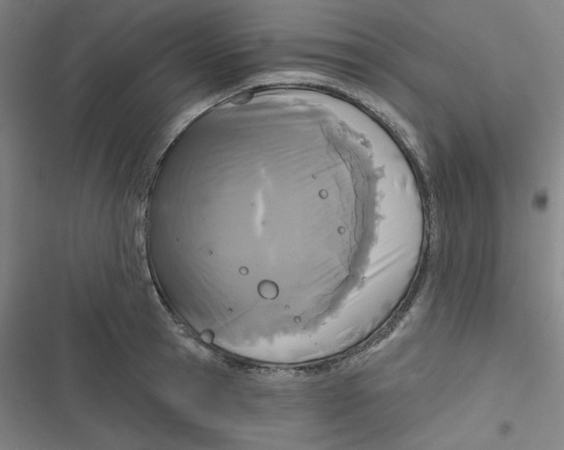 X0000116790945201001081310