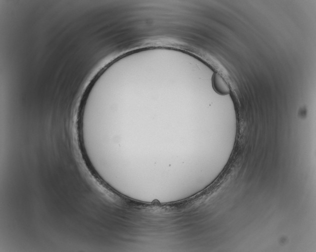 X0000116790947201001081310