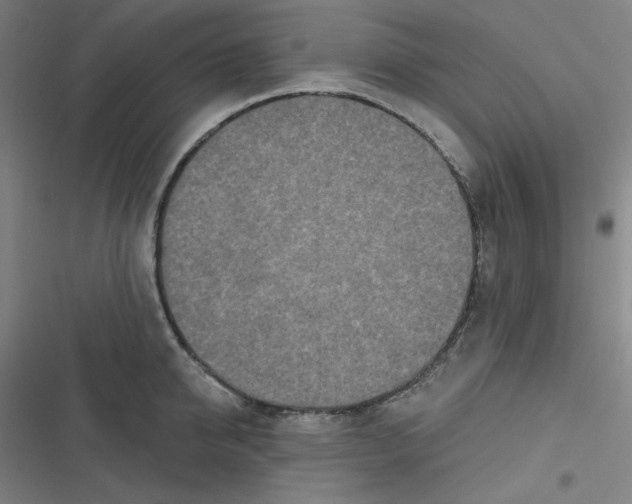 X0000116790950201001081311