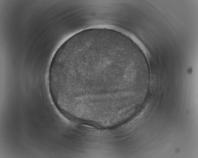 X0000116790951201001081311