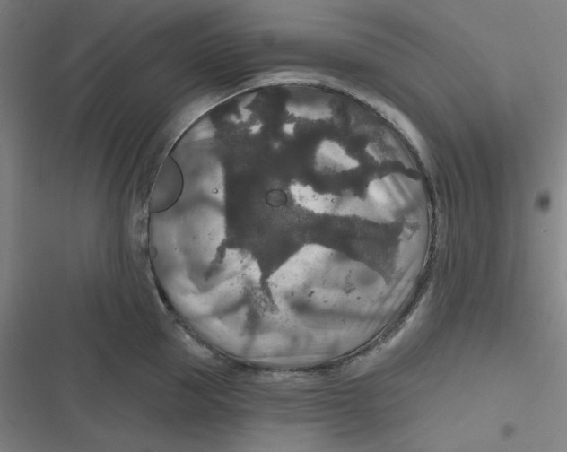 X0000116790953201001081311