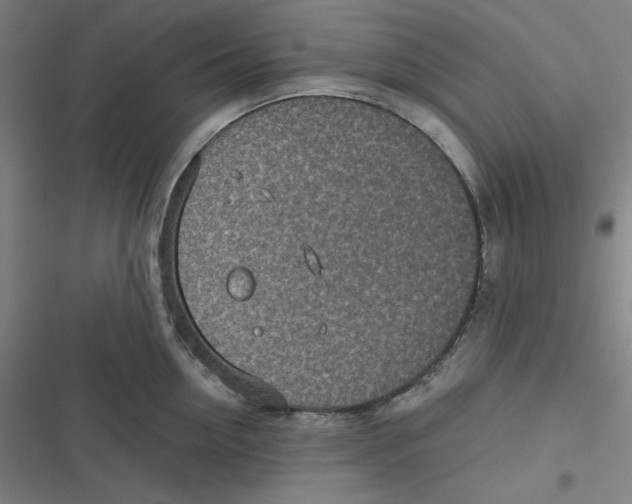 X0000116790954201001081311