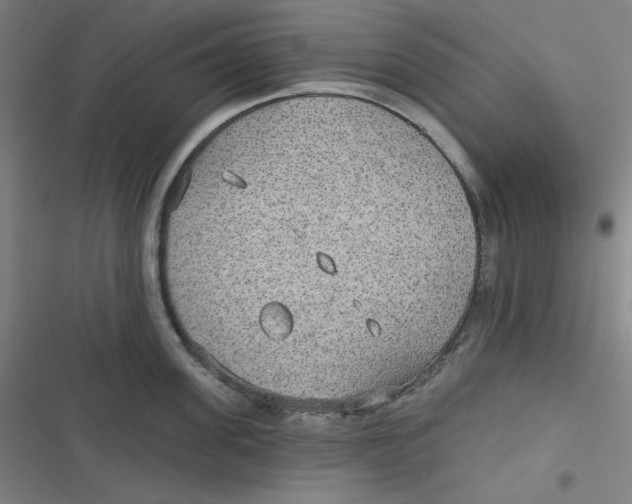 X0000116790955201001081311