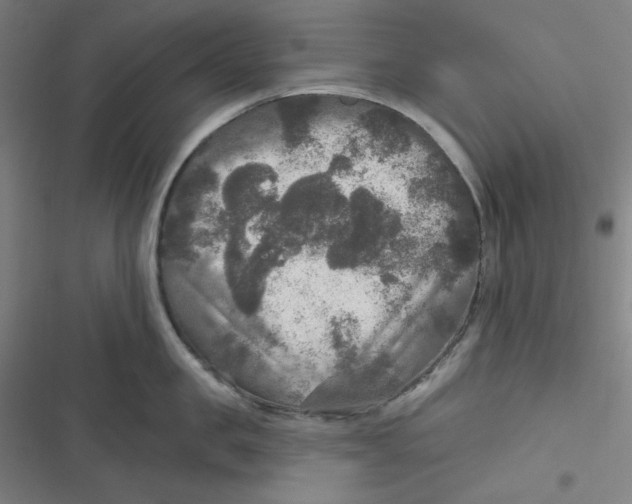 X0000116790957201001081311