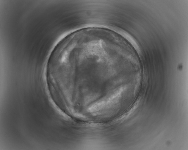 X0000116790958201001081311