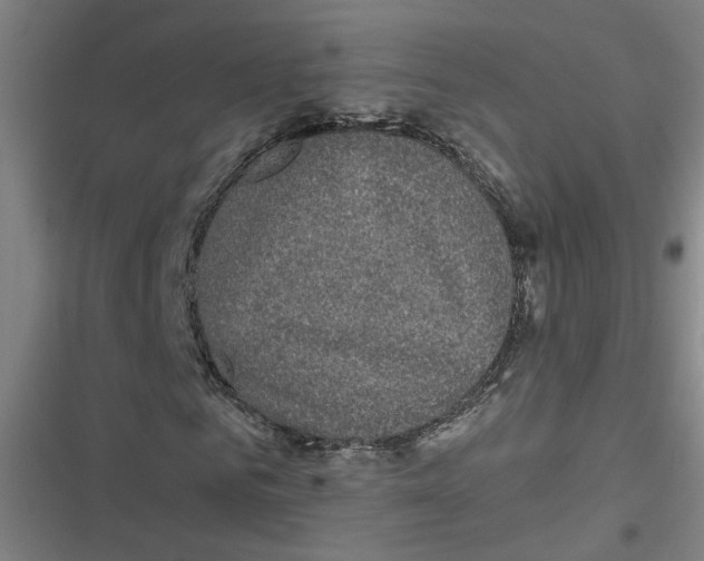 X0000116790961201001081310