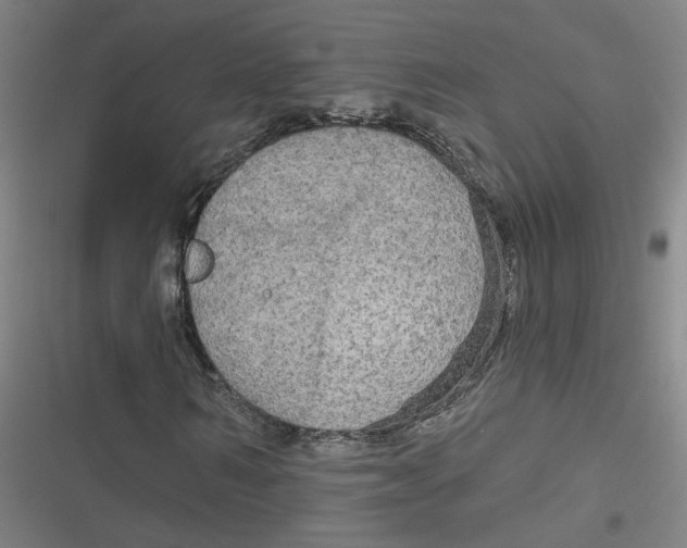 X0000116790962201001081310