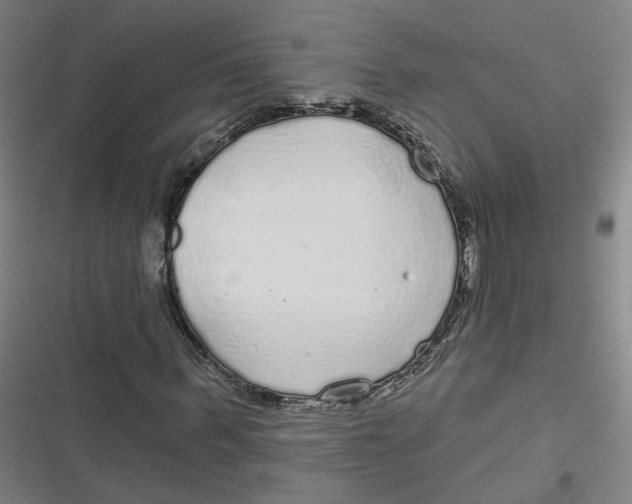 X0000116790963201001081310