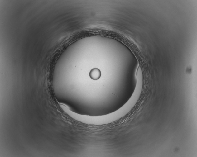 X0000116790965201001081310