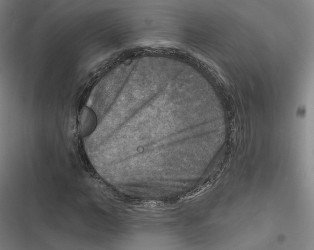 X0000116790966201001081310