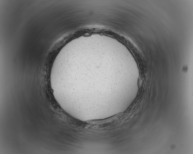 X0000116790967201001081310