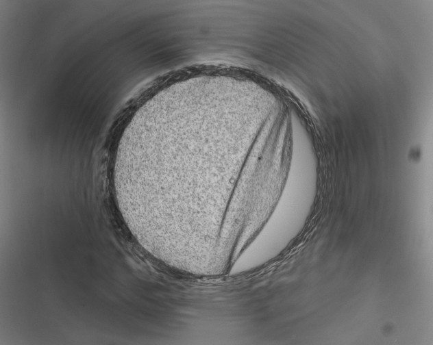 X0000116790968201001081310