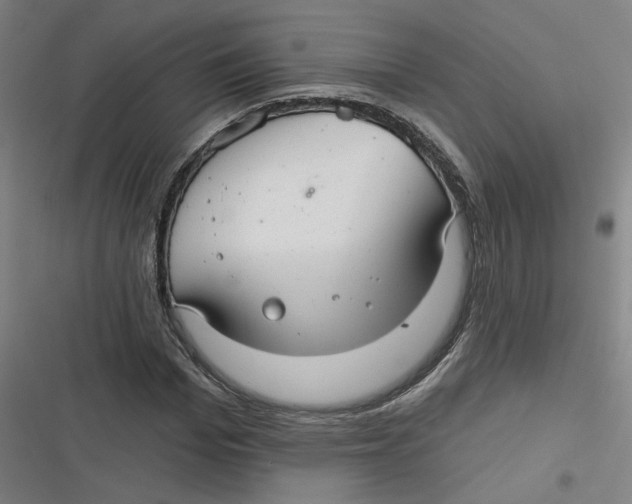 X0000116790969201001081310