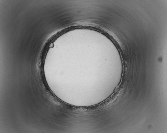 X0000116790971201001081310