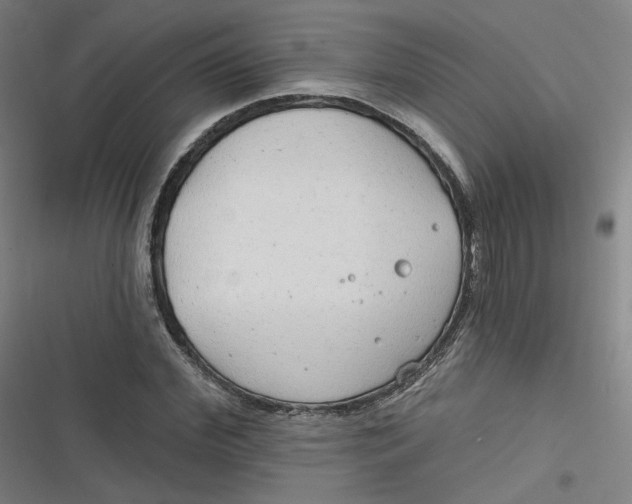 X0000116790972201001081310