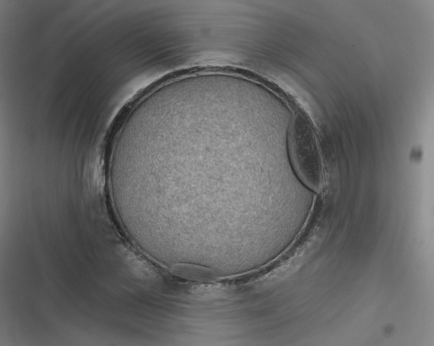 X0000116790973201001081310