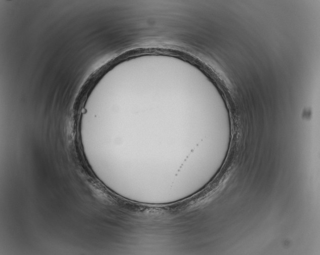 X0000116790974201001081310