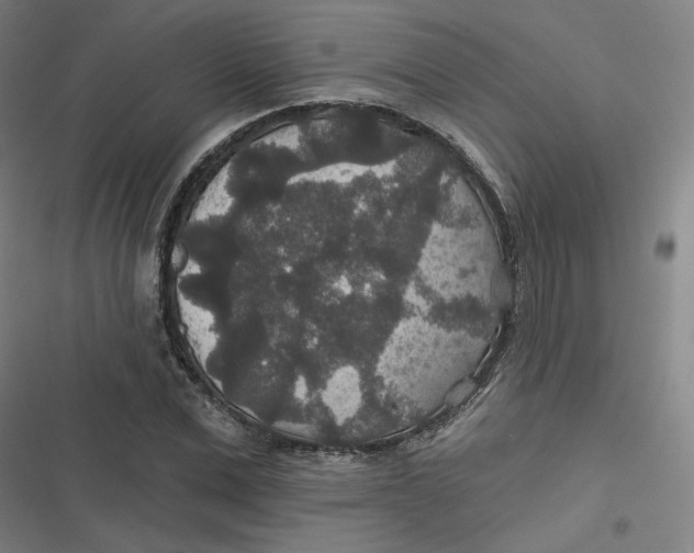 X0000116790975201001081310