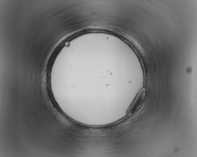 X0000116790976201001081310