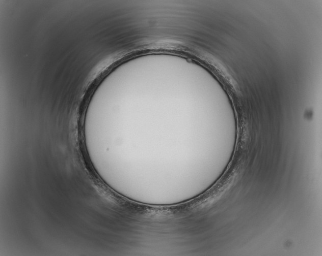 X0000116790978201001081310