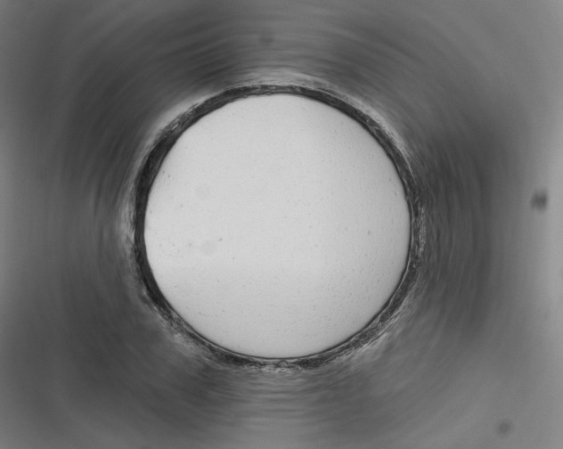 X0000116790979201001081310