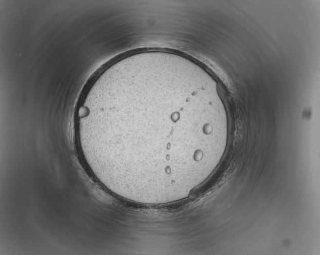 X0000116790980201001081310