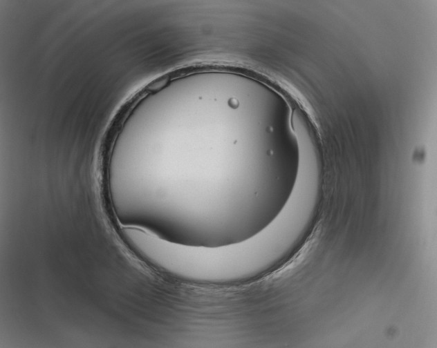 X0000116790981201001081310