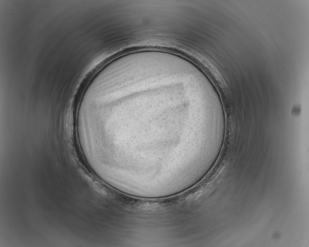 X0000116790982201001081310