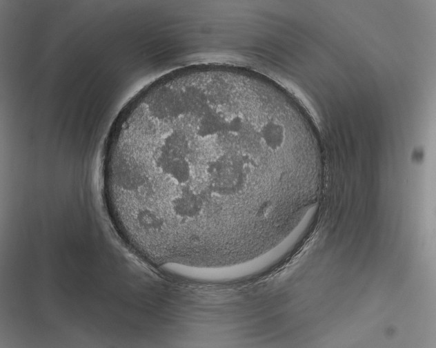 X0000116790983201001081310