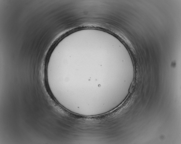 X0000116790984201001081310