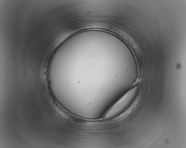 X0000116790985201001081310