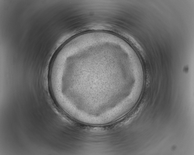 X0000116790986201001081310