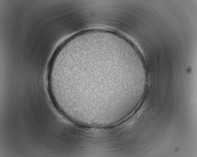 X0000116790987201001081310