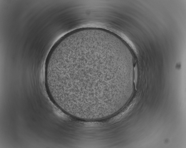 X0000116790988201001081310