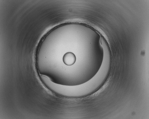 X0000116790989201001081310