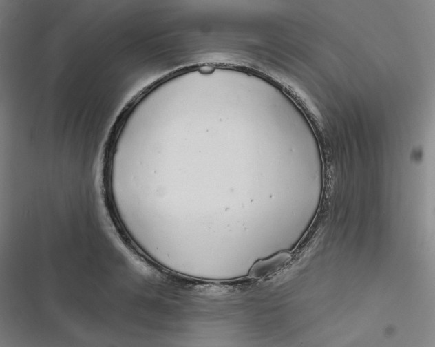 X0000116790991201001081310