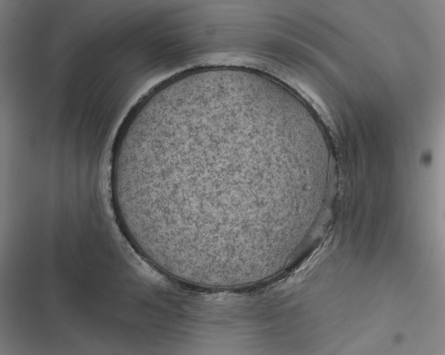 X0000116790992201001081310